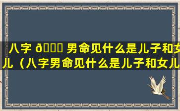 八字 🐕 男命见什么是儿子和女儿（八字男命见什么是儿子和女儿的意思）